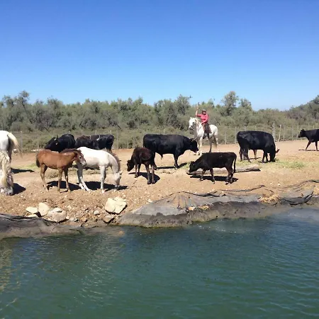 Seb&laeti 3* Saint-Laurent-dʼAigouze